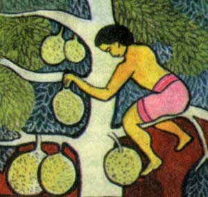 Jak fruit in Sinhala culture
